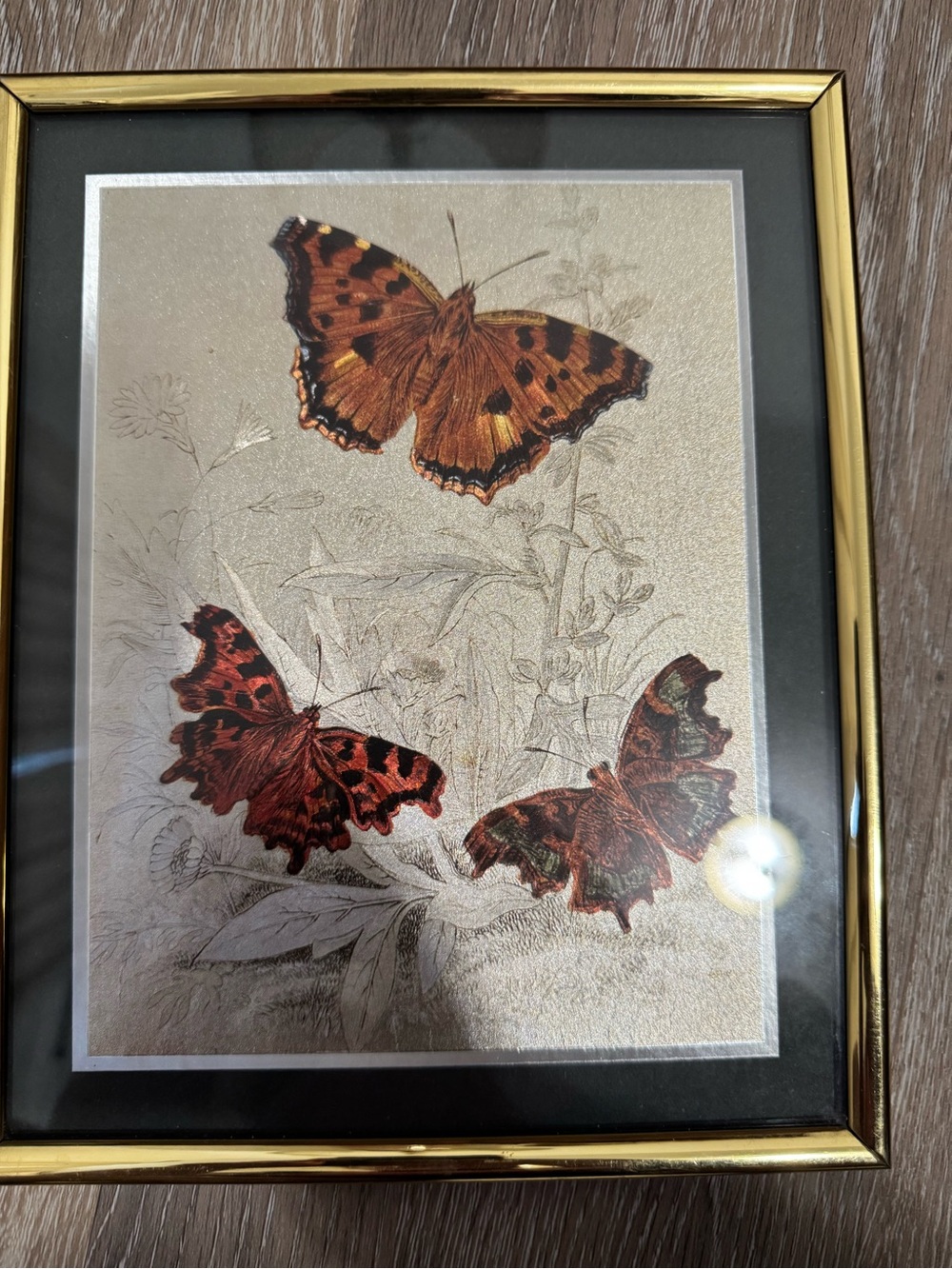 Framed Vintage Butterfly Wall Art Print in Gold and Black